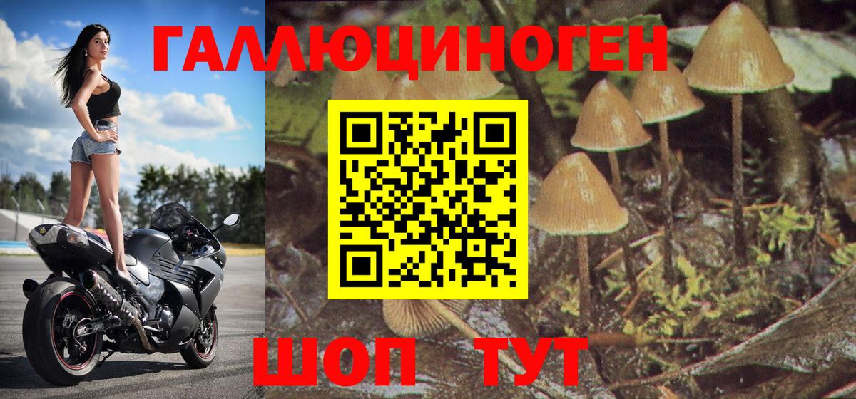 Чита  Псилоцибиновые грибы мухоморы  Вход с VPN  Галлюциногенные грибы MAGIC MUSHROOMS 